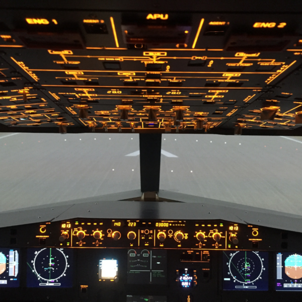 flight simulator