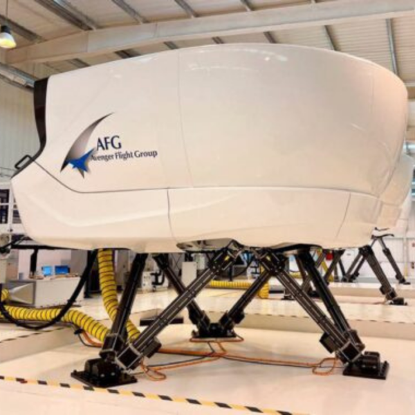 flight simulator