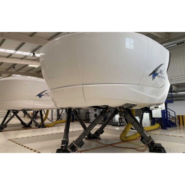 flight simulator